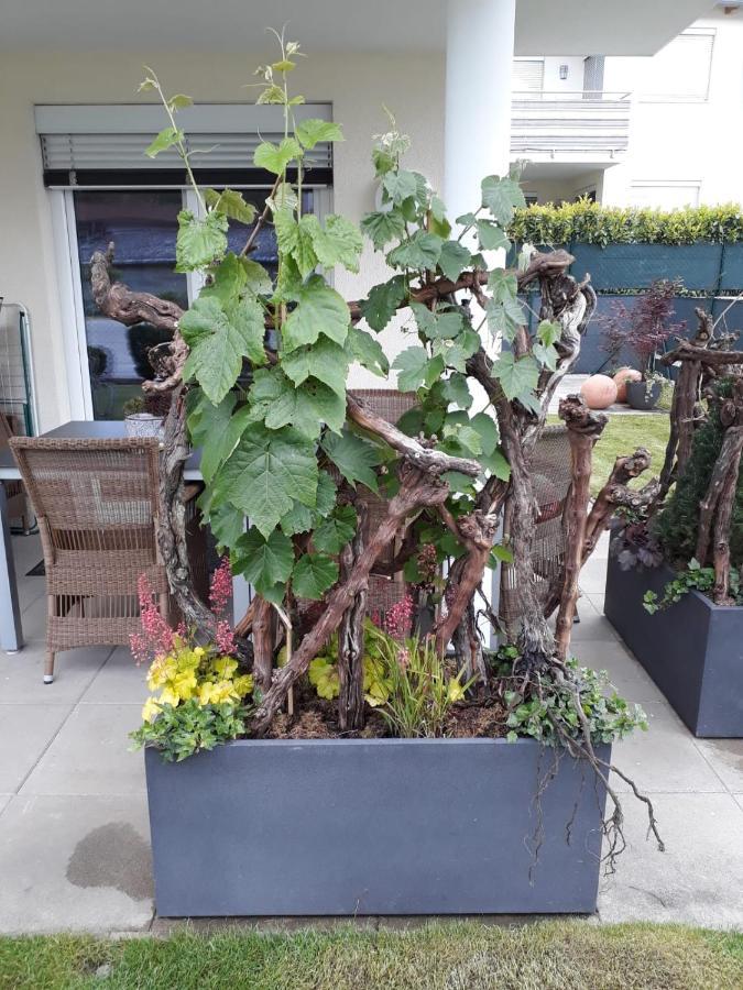 "Nature Erleben" Appartement & Komfortzimmer Velden am Wörthersee Esterno foto