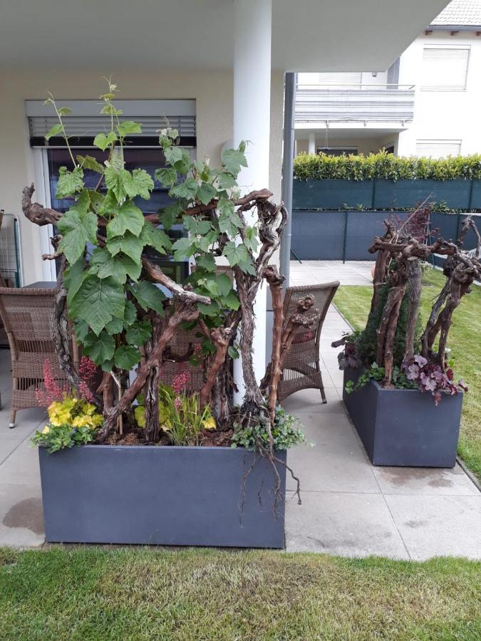 "Nature Erleben" Appartement & Komfortzimmer Velden am Wörthersee Esterno foto